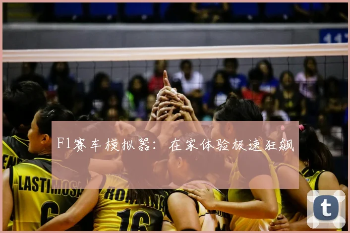 F1赛车模拟器：在家体验极速狂飙